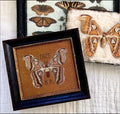 PDF File of B.R.'s Moth