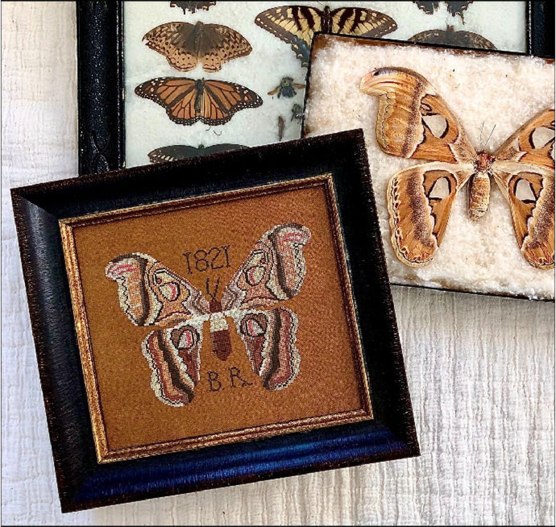 PDF File of B.R.'s Moth