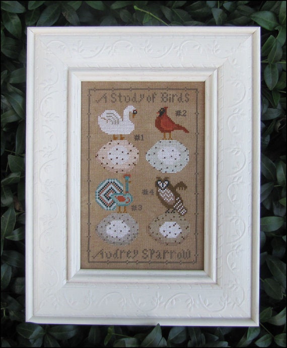 PDF File of Bird Study